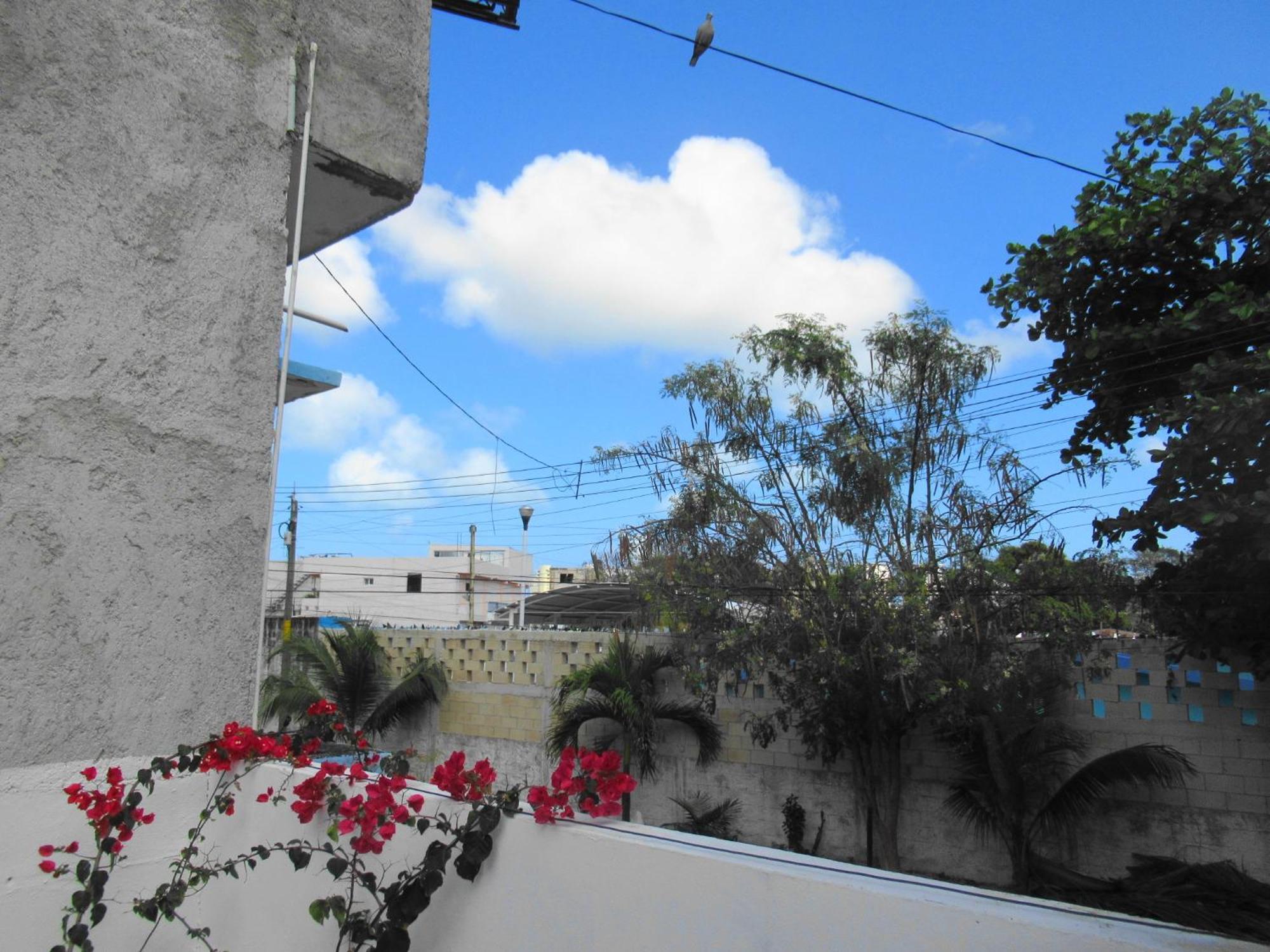 דירות קנקון Cocos מראה חיצוני תמונה